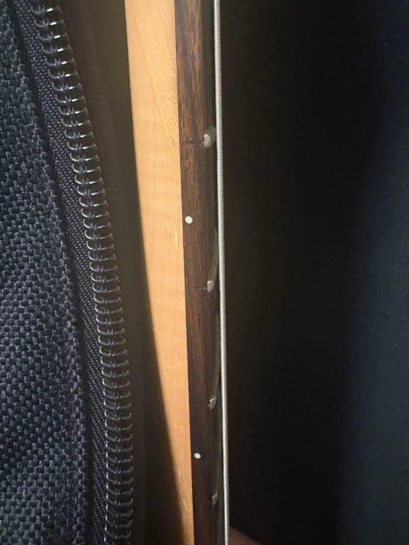 4*4様 Washburn Signature Model N2-NUNO