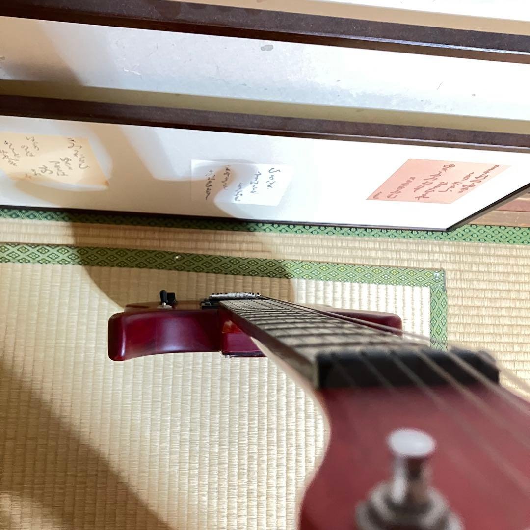 Washburn N1 Nunoモデル