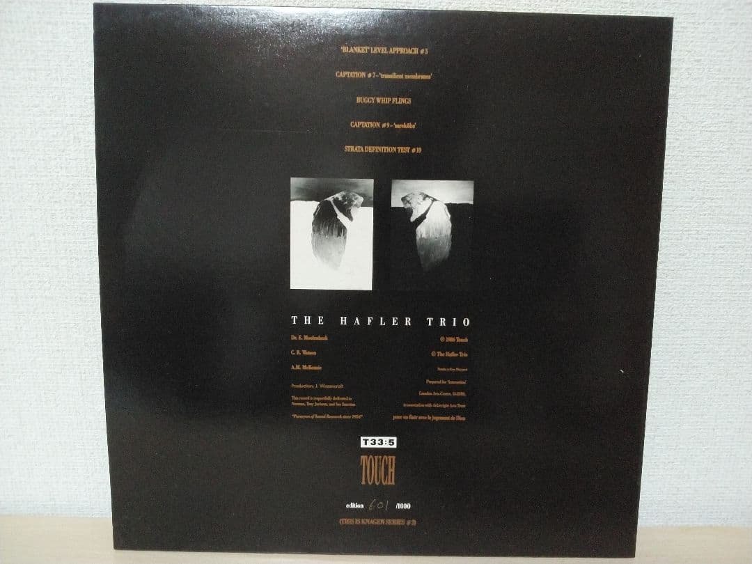 THE HAFLER TRIO ／ BRAIN SONG．限定1000！